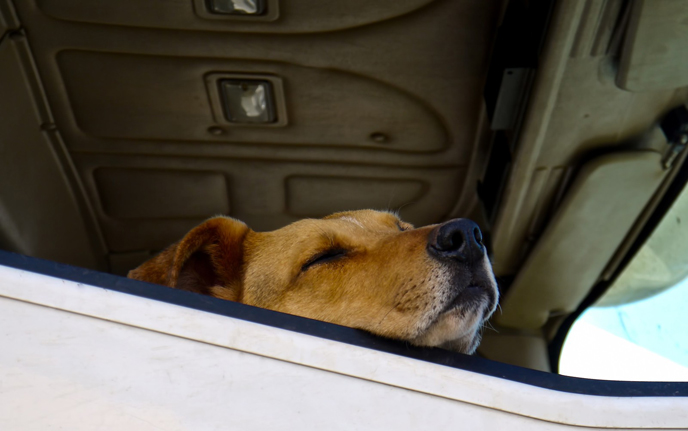 ドライブ中の居眠り運転を防止する方法は