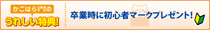 合宿校の特典