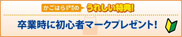 合宿校の特典