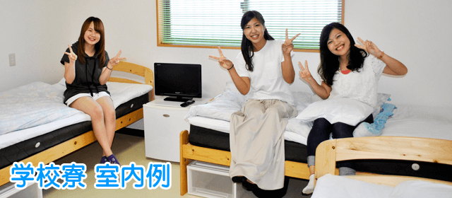 ドライビング・スクールかいなんの紹介画像｜合宿免許わかば