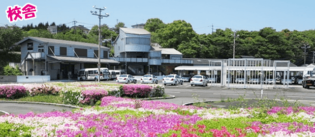 アイルモータースクール豊前｜合宿免許わかば