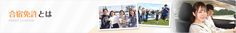 運転免許とは About License