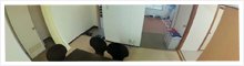 讃岐マンション 相部屋2